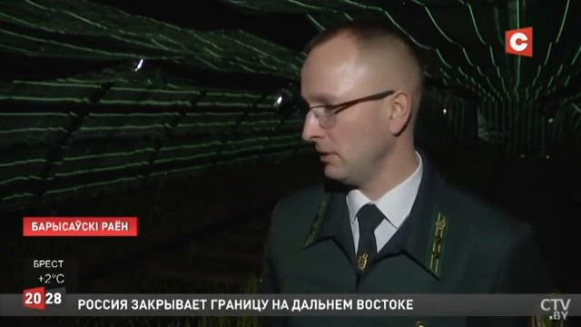 Как голландские тюльпаны выращивают в Борисовском опытном лесхозе смотреть онлайн