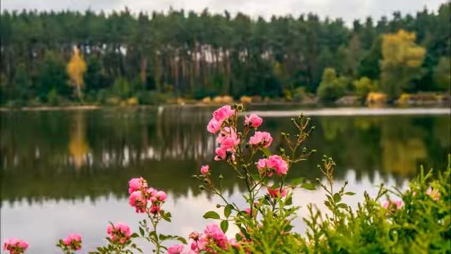 Шуберт Мюллер Прекрасная мельничиха Мельник и ручей Георгий Виноградов смотреть онлайн