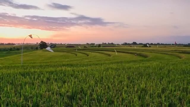 С позором свекровь выгнала невестку с малышом без копейки, но вскоре прознала о её наследстве... смотреть онлайн