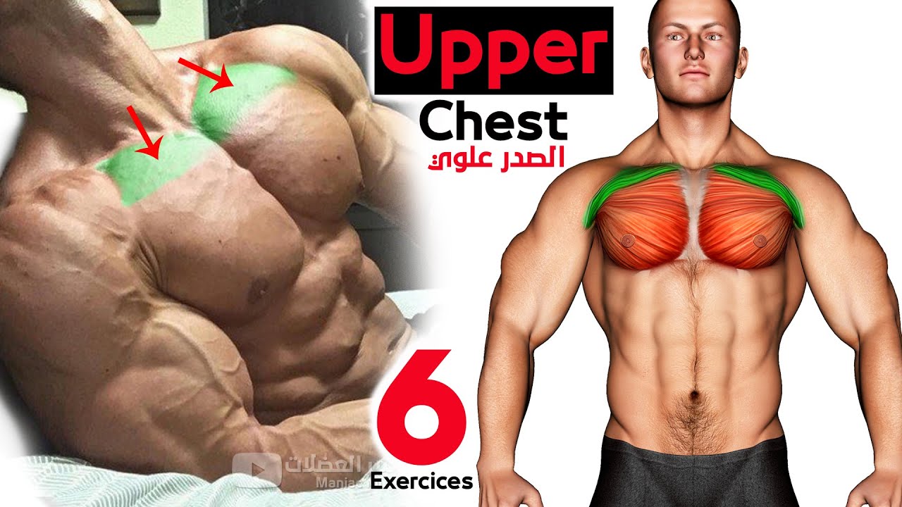 6 ЛУЧШИХ УПРАЖНЕНИЙ «ВЕРХНЯЯ ГРУДЬ» ? смотреть онлайн