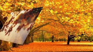 Я хочу услышать музыку Песня Г.Струве