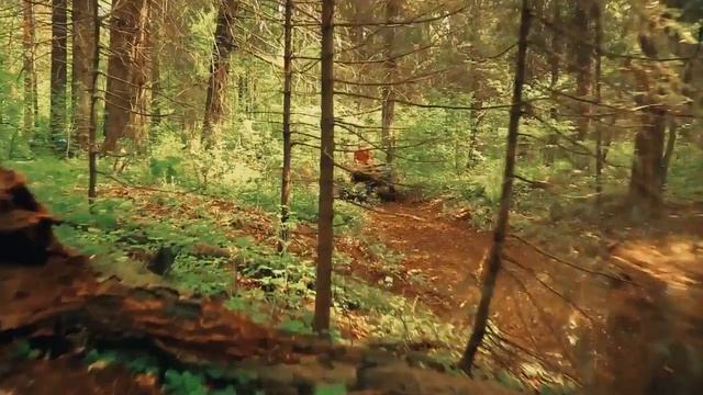 STELS GUEPARD 2016 1 смотреть онлайн