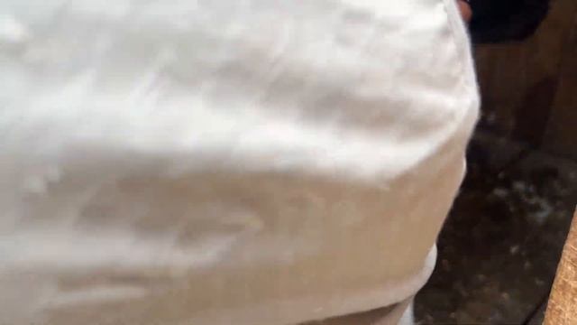 The pigeon laid two eggs for the first time | Saqib arif смотреть онлайн