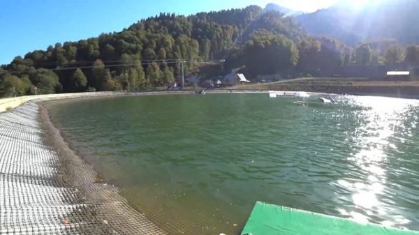 IronStar Сочи 2020. Мой Путь К IronMan