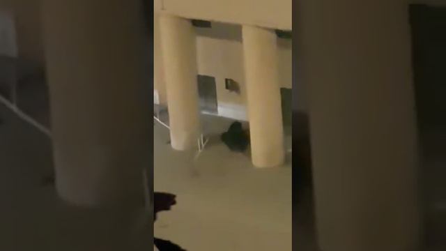 Стрельба неизвестным 19.12.19 у здания ФСБ в Москве на лубянке(5) смотреть онлайн