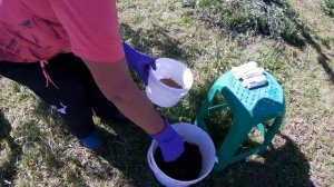 КАК ВЫЛЕЧИТЬ И ВОССТАНОВИТЬ СТВОЛ НА ПЛОДОВЫХ ДЕРЕВЬЯХ.