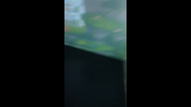 Angry Birds Game I think Part 1 смотреть онлайн