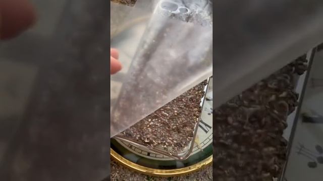 СтройТочка Зрения