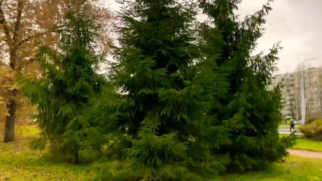 Вот такая прекрасная дневная прогулка и диалог с бабушкой 11..11.+6 смотреть онлайн