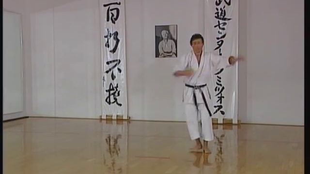 Jion - Efthimios Karamitsos - Karate Shotokan Kata смотреть онлайн