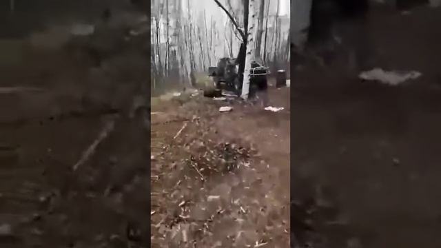 Крупного медведя встретили на рыбалке☹ ? смотреть онлайн