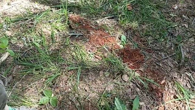 Укладка фундамента для памятника летчикам ИЛ-4 и много чего интересного. смотреть онлайн