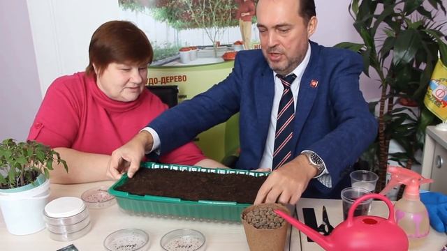 Секрет Раскрыт! Посев Томатов От Профессионала. смотреть онлайн