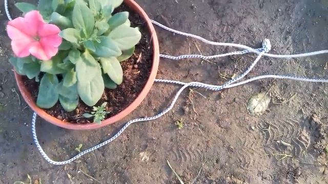 Кашпо за несколько секунд,легко )))