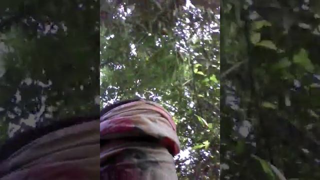 Мастера уборки