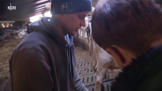 Am Ende des Praktikums wartet der Kater | Folge 5 | NDR auf'm Land смотреть онлайн