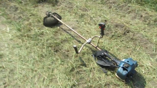 Уборка сорняка мотокосой перед уборкой картофеля. смотреть онлайн