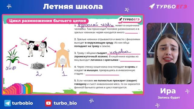 Циклы развития червей паразитов | Летняя школа смотреть онлайн