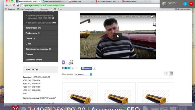 SEO разборка #45 |Сельхозтехника Бердянск Анатомия SEO смотреть онлайн