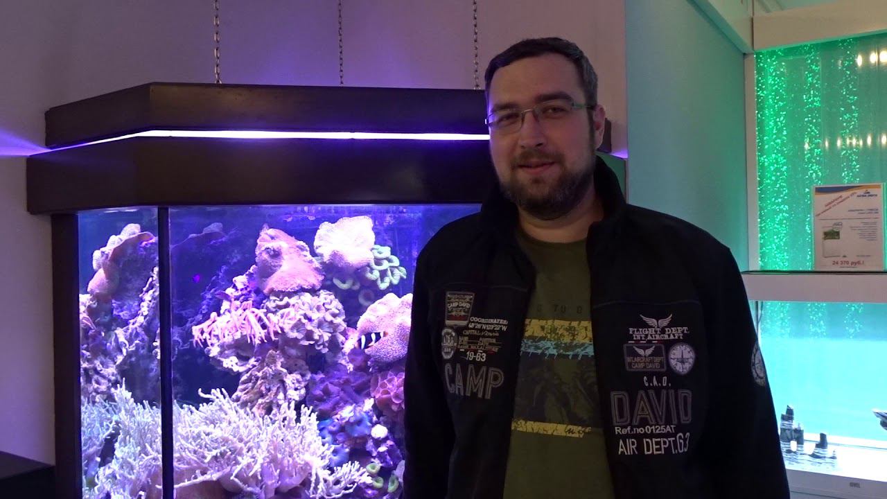 Мастер-класс по созданию морского #аквариума смотреть онлайн