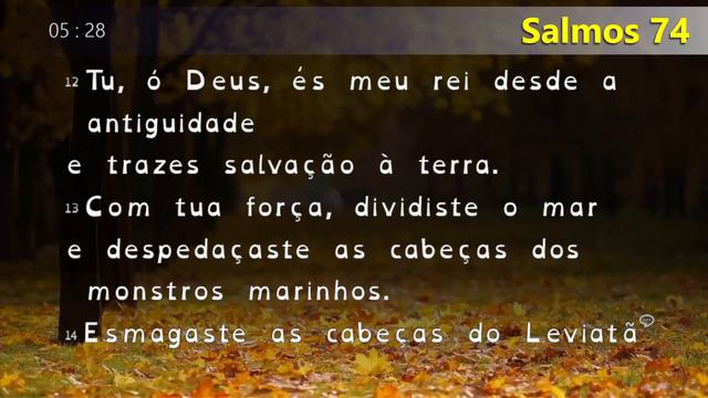Salmos 72 a 77 | Bíblia em Áudio - Versão NVT смотреть онлайн