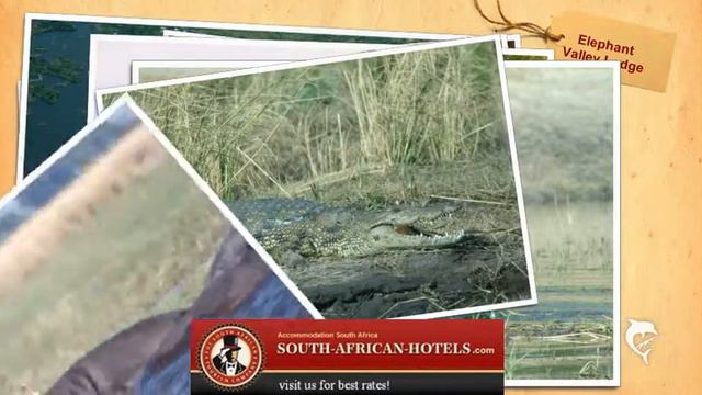 Elephant Valley Lodge, Botswana смотреть онлайн