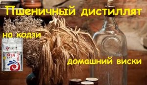 Самогон. Пшеничный дистиллят на ангел КОДЗИ. Домашний  виски..mp4
