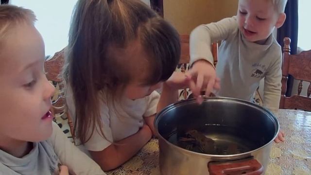 Наловил раков готовим вкусняшку смотреть онлайн