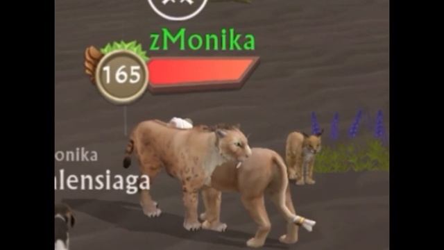 Что делает игрок когда я в АФК в вилд-крафт[Не ожидала] {WildCraft}• смотреть онлайн