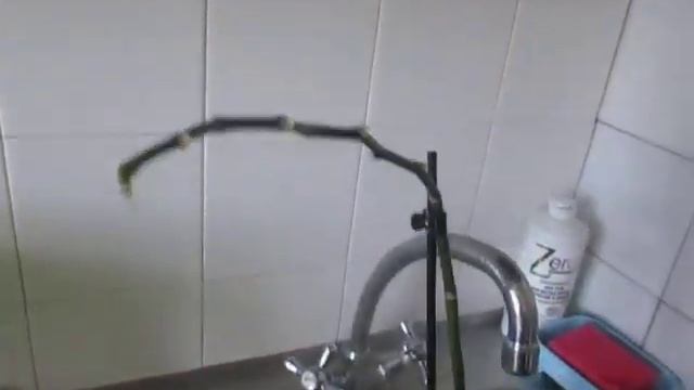 Как опрыскивать орхидею Эпином, чтоб она зацвела. смотреть онлайн