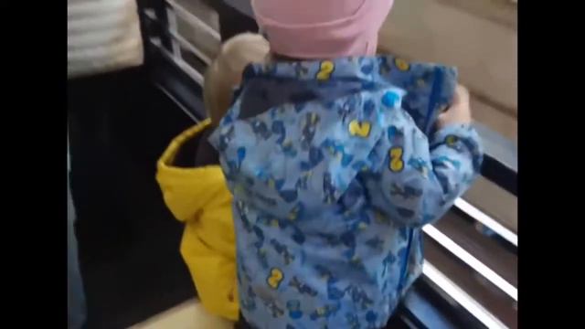 Зоопарк 01 мая 2017 смотреть онлайн