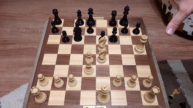 Шахматы. Слон, Ферзь и Конь знают шахматную ловушку. Учимся играть в шахматы. смотреть онлайн