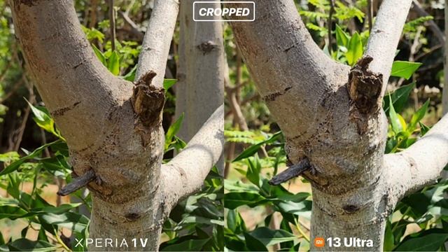 Sony Xperia 1 V Vs Xiaomi 13 Ultra Camera Test