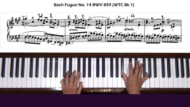 Bach Fugue No.14 in F-sharp Minor BWV 859 (WTC Bk I) Piano Tutorial смотреть онлайн