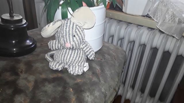 Derby T.O.   Heimat    Derby G-5543 B