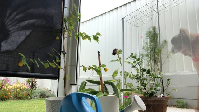 Gardening in the next part of my garden . Praca w ogrodku - RETIREMENT in AUSTRALIA - 293 смотреть онлайн