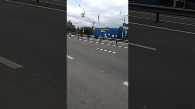 Встретил медведя!!! Украшаю кабину. смотреть онлайн