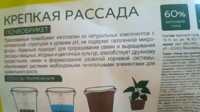Последняя пикировка в сезоне 2021 года смотреть онлайн