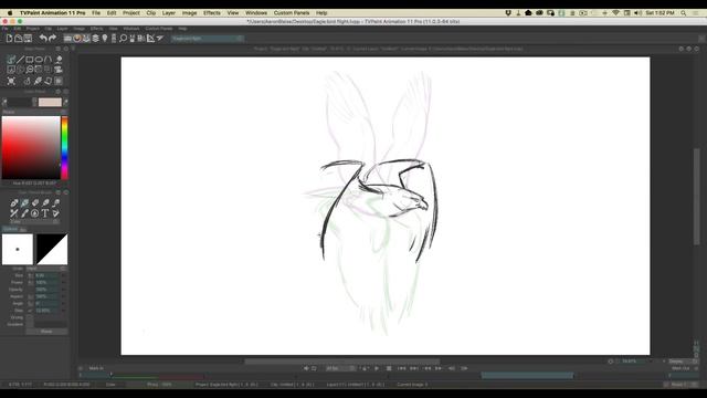 Animation - The Mechanics of Bird Flight смотреть онлайн