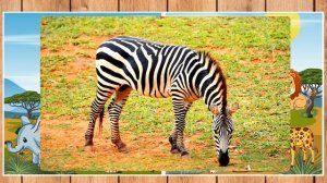 Животные АФРИКИ! Изучаем животных и их звуки Развивающие мультики для детей