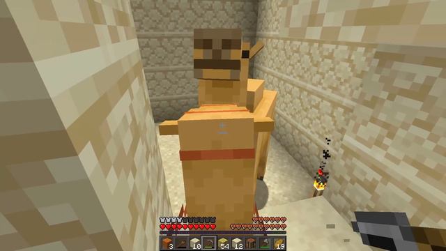 RETURN OF CAMEL BUBBLES!!! - Solo Skizz 1.20 Snapshot E02 смотреть онлайн
