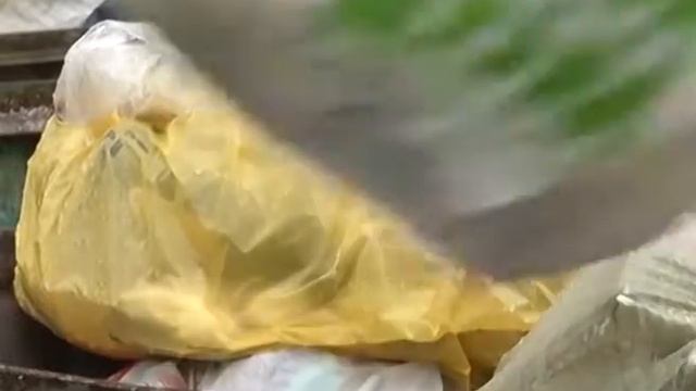 "Мобильный репортёр" - выброс крупногабаритного мусора в деревне Калиновка смотреть онлайн