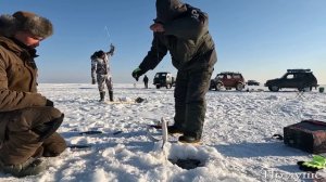 Гирлянды из Омулей! Нам снова ПОВЕЗЛО! Попали на клёв Омуля! Рыбалка на Байкале!