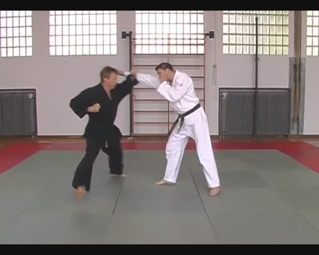 JU JUTSU COMPACT 1