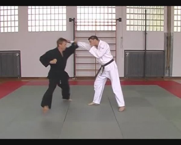 JU JUTSU COMPACT 1
