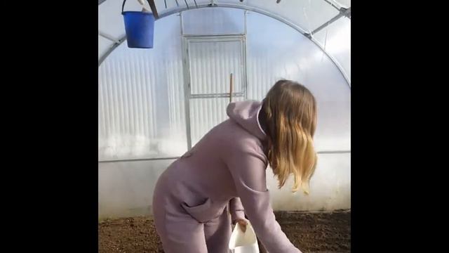 чем заняться на карантине?сеем сидераты смотреть онлайн