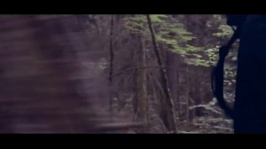 Ее глаза околдовали, а улыбка сердце ранит. Я у нее на поводке. Моя жизнь у нее в руке. Ее глаза о