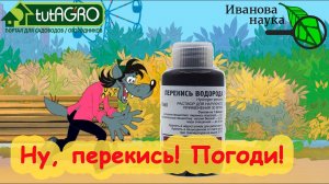 КРАСНЫМ СТЕРЖНЕМ по... НЕУЧАМ! Как ПРАВИЛЬНО использовать перекись водорода для проращивания семян.