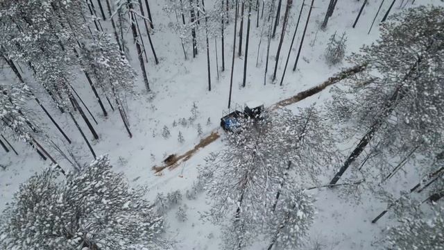 На каракате по первому снегу. Вездеход на шинах Трэкол. Ураган Дикарь смотреть онлайн