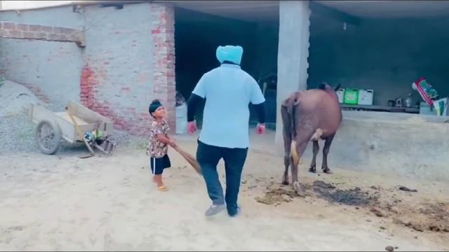 Latest New Noor funny Videos|#Noor #Clips #Videos #Noortiktok смотреть онлайн